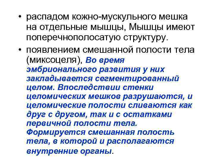  • распадом кожно-мускульного мешка на отдельные мышцы, Мышцы имеют поперечнополосатую структуру. • появлением
