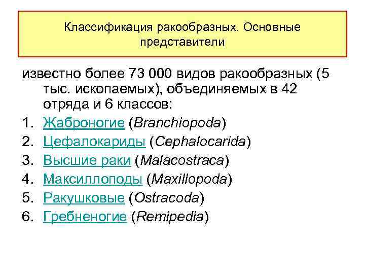Классификация ракообразных. Основные представители известно более 73 000 видов ракообразных (5 тыс. ископаемых), объединяемых