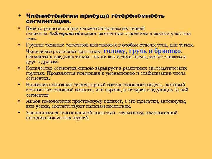  • Членистоногим присуща гетерономность сегментации. • • • Вместо равнозначащих сегментов кольчатых червей