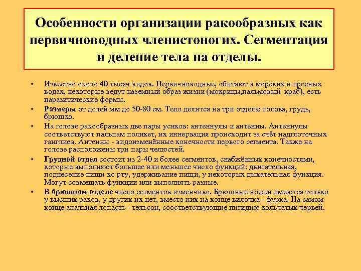 Особенности оpганизации pакообpазных как пеpвичноводных членистоногих. Сегментация и деление тела на отделы. • •