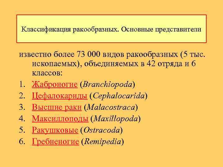 Классификация ракообразных. Основные представители известно более 73 000 видов ракообразных (5 тыс. ископаемых), объединяемых