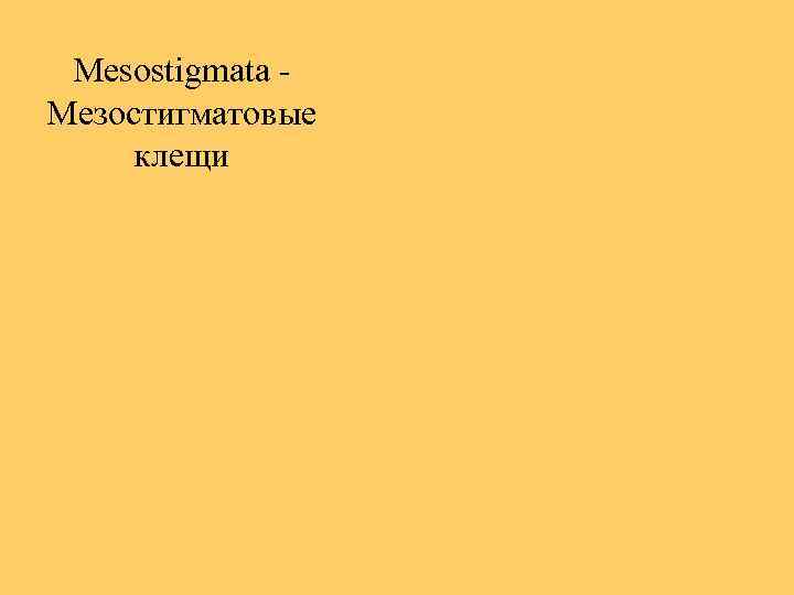 Mesostigmata - Мезостигматовые клещи 