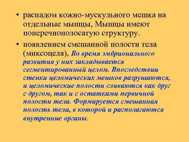  • распадом кожно-мускульного мешка на отдельные мышцы, Мышцы имеют поперечнополосатую структуру. • появлением