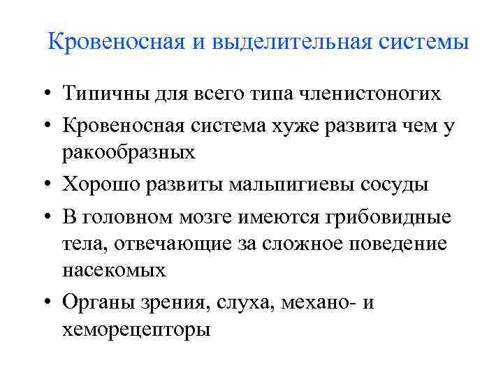 Кровеносная и выделительная системы • Типичны для всего типа членистоногих • Кровеносная система хуже