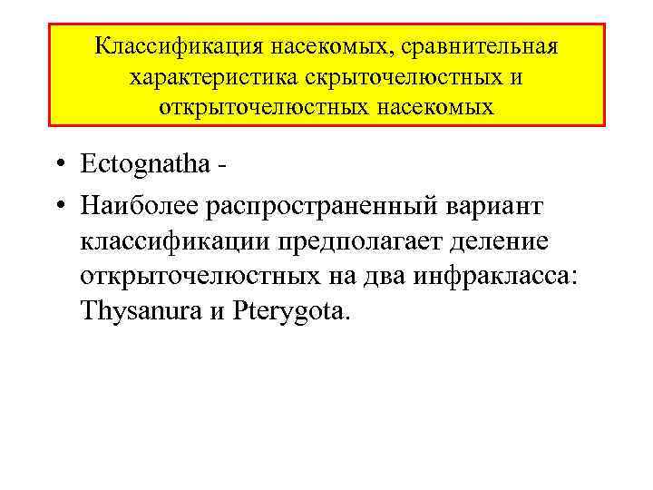 Классификация насекомых, сравнительная характеристика скрыточелюстных и открыточелюстных насекомых • Ectognatha - • Наиболее распространенный