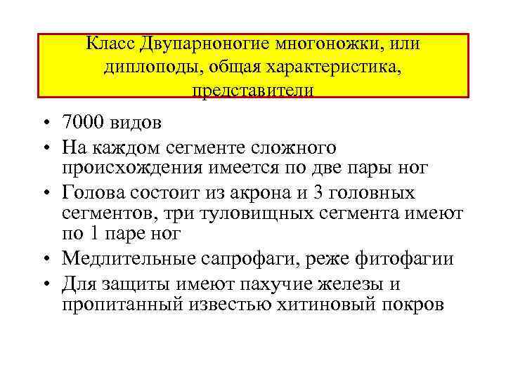 Класс Двупарноногие многоножки, или диплоподы, общая характеристика, представители • 7000 видов • На каждом