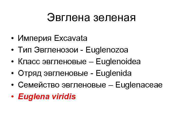 Эвглена зеленая • • • Империя Excavata Тип Эвгленозои - Euglenozoa Класс эвгленовые –