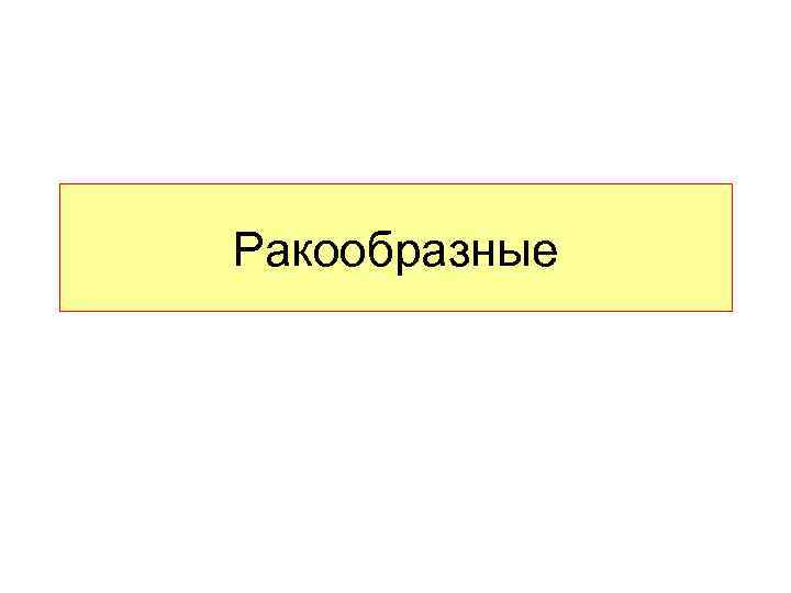 Ракообразные 