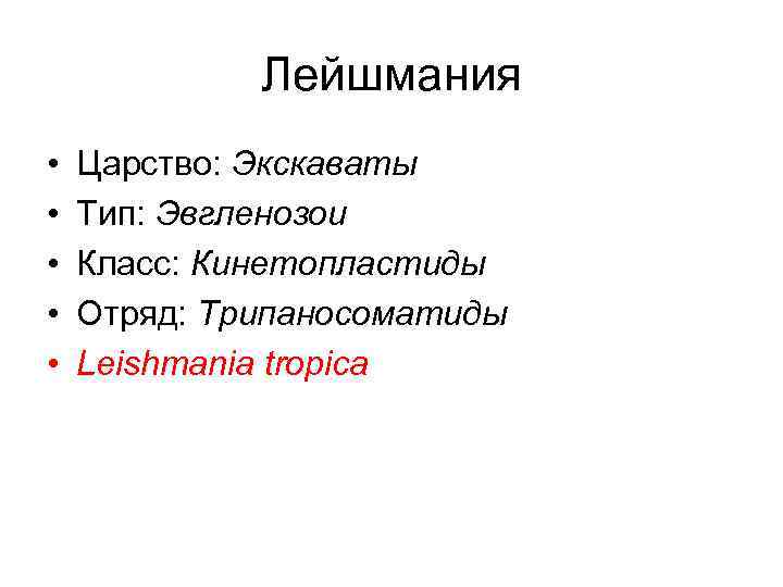 Лейшмания • • • Царство: Экскаваты Тип: Эвгленозои Класс: Кинетопластиды Отряд: Трипаносоматиды Leishmania tropica