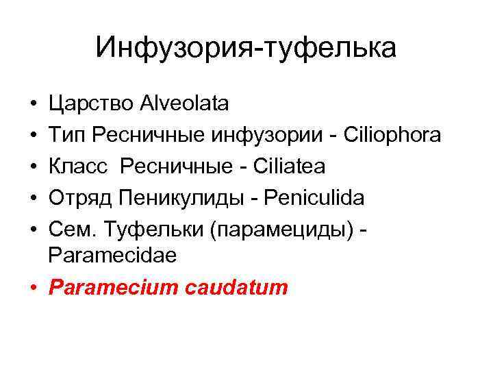 Инфузория-туфелька • • • Царство Alveolata Тип Ресничные инфузории - Ciliophora Класс Ресничные -