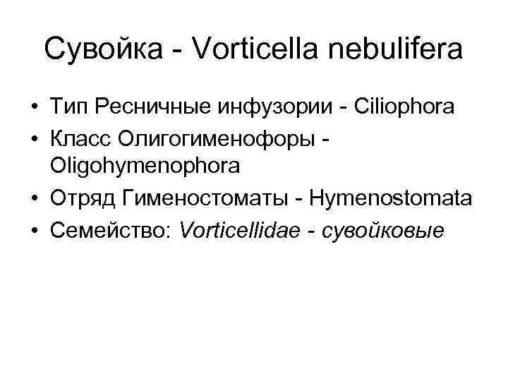 Сувойка - Vorticella nebulifera • Тип Ресничные инфузории - Ciliophora • Класс Олигогименофоры -