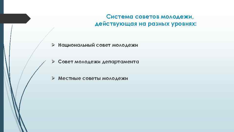 Система советов молодежи, действующая на разных уровнях: Ø Национальный совет молодежи Ø Совет молодежи
