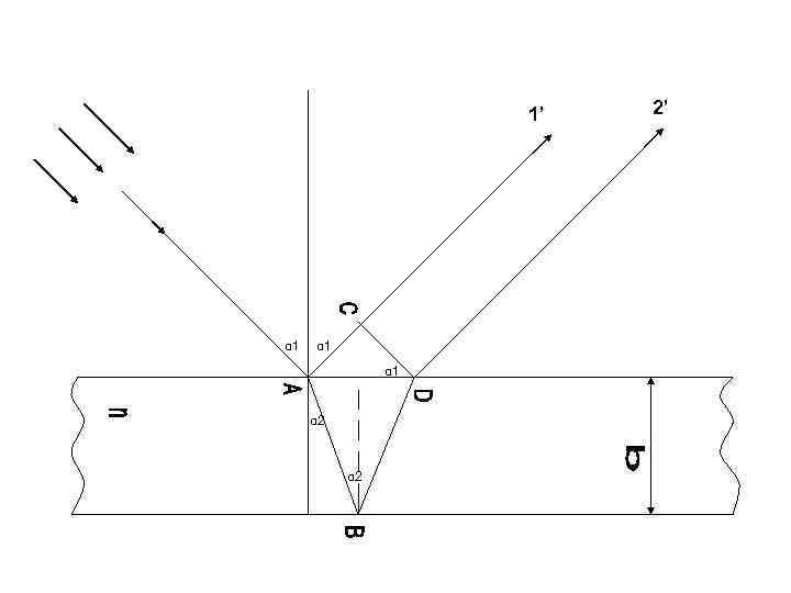 1’ α 1 α 1 α 2 2’ 