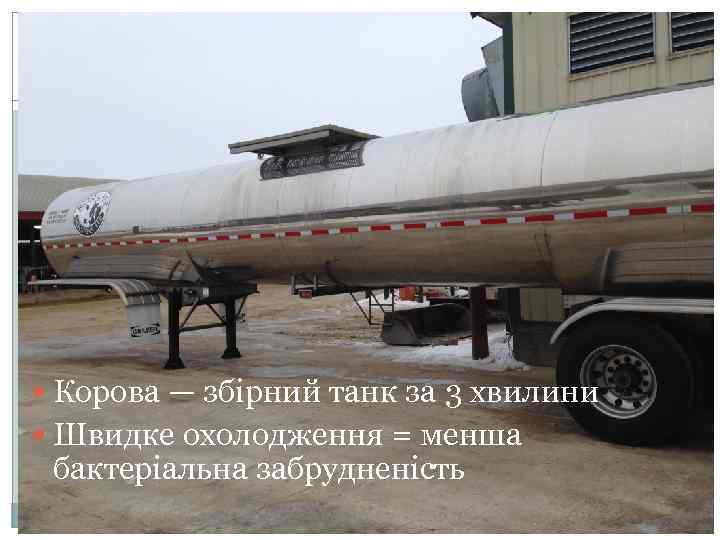 Direct load milk Корова — збірний танк за 3 хвилини Швидке охолодження = менша