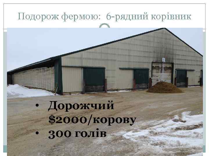 Подорож фермою: 6 -рядний корівник • Дорожчий $2000/корову • 300 голів 