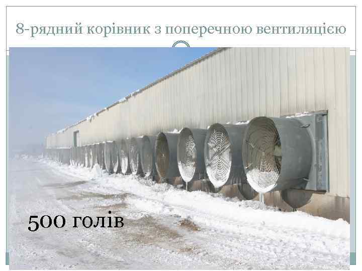 8 -рядний корівник з поперечною вентиляцією 500 голів 