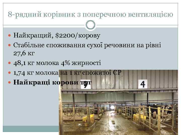 8 -рядний корівник з поперечною вентиляцією Найкращий, $2200/корову Стабільне споживання сухої речовини на рівні