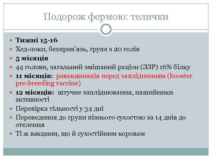 Подорож фермою: телички Тижні 15 -16 Хед-локи, безприв'язь, група з 20 голів 5 місяців