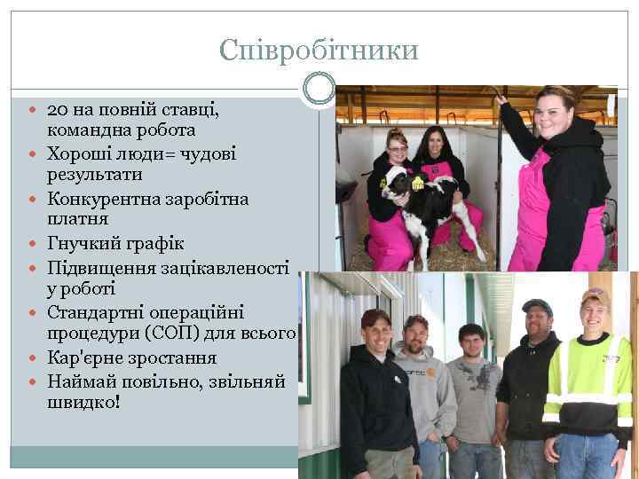 Співробітники 20 на повній ставці, командна робота Хороші люди= чудові результати Конкурентна заробітна платня