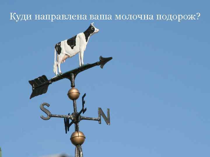 Куди направлена ваша молочна подорож? 