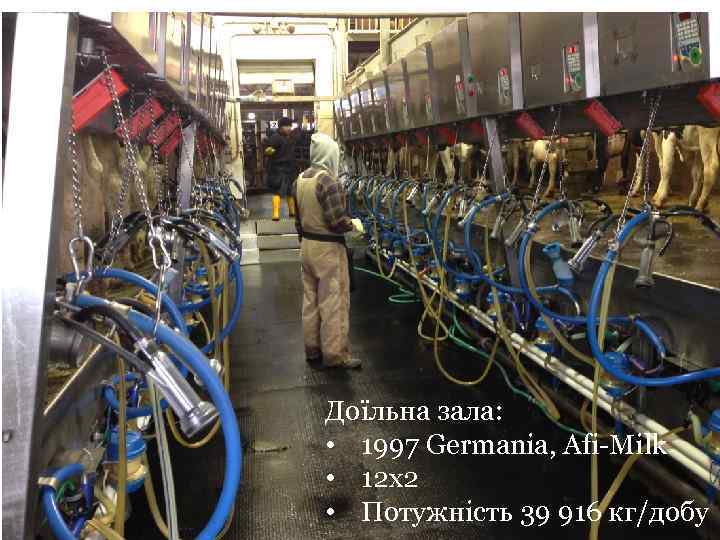 Доїльна зала: • 1997 Germania, Afi-Milk • 12 x 2 • Потужність 39 916