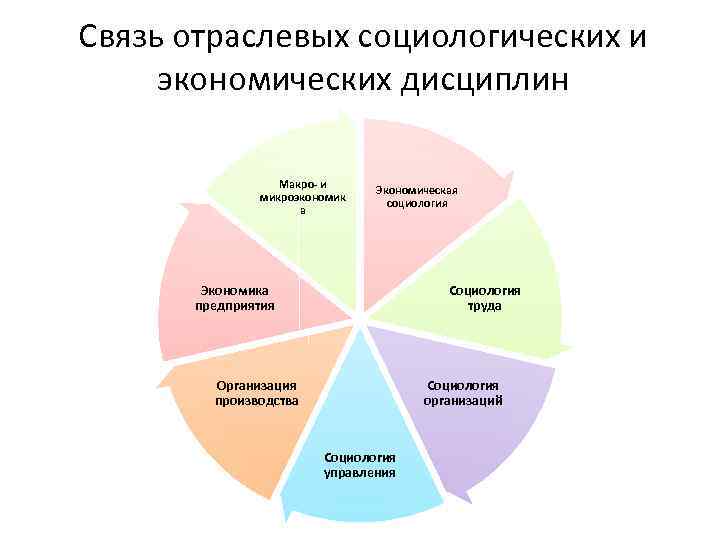 Социология экономики. Экономическая социология. Отрасли социологии. Экономика и экономическая социология. Отрасли экономической социологии.