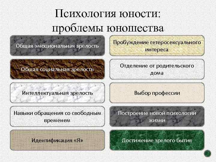 Психология юности: проблемы юношества Общая эмоциональная зрелость Пробуждение гетеросексуального интереса Общая социальная зрелость Отделение