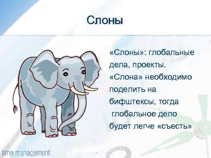 Слоны «Слоны» : глобальные дела, проекты. «Слона» необходимо поделить на бифштексы, тогда глобальное дело