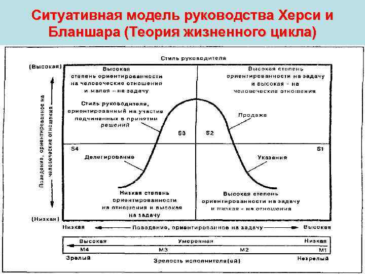 Ситуативная модель руководства Херси и Бланшара (Теория жизненного цикла) 