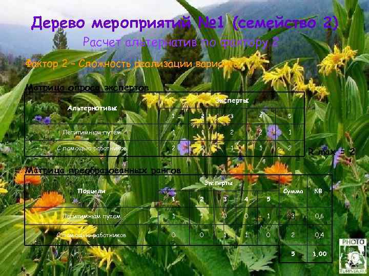 Дерево мероприятий № 1 (семейство 2) Расчет альтернатив по фактору 2 Фактор 2 –