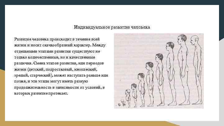 Презентация онтогенез репродуктивное здоровье человека