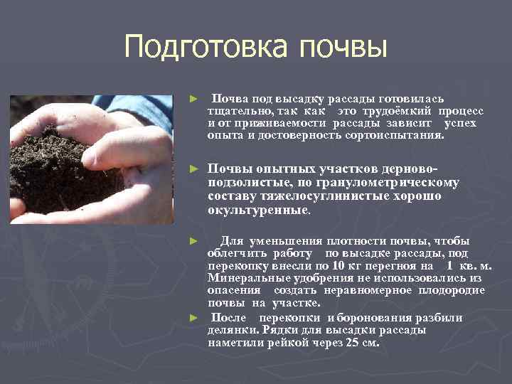 Подготовка почвы ► Почва под высадку рассады готовилась тщательно, так как это трудоёмкий процесс