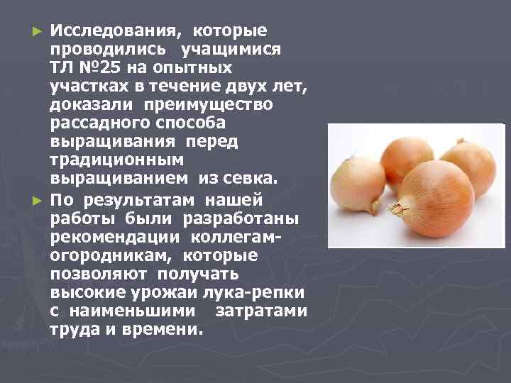 Исследования, которые проводились учащимися ТЛ № 25 на опытных участках в течение двух лет,
