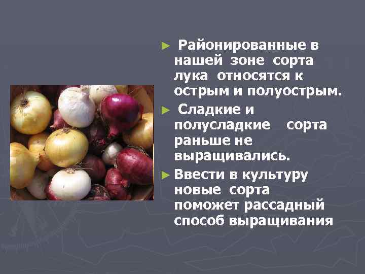 Районированные в нашей зоне сорта лука относятся к острым и полуострым. ► Сладкие и