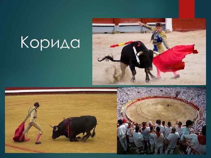 Корида 