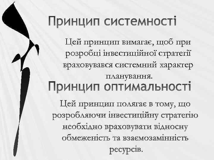 Цей принцип вимагає, щоб при розробці інвестиційної стратегії враховувався системний характер планування. 