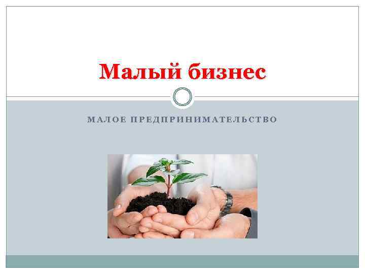Малый бизнес МАЛОЕ ПРЕДПРИНИМАТЕЛЬСТВО 