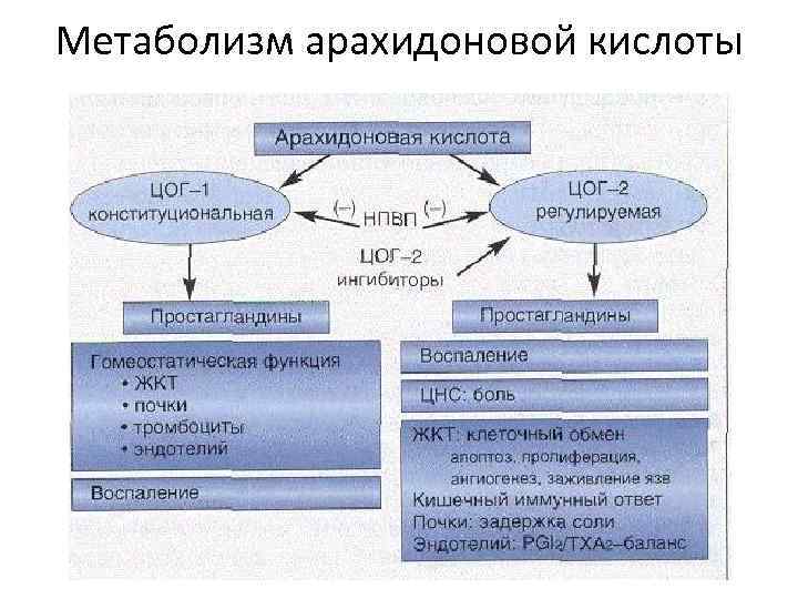 Схема арахидоновой кислоты