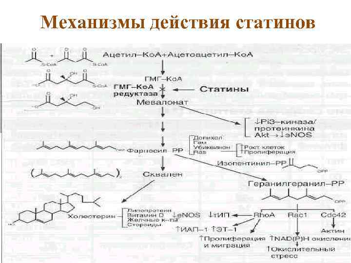 Механизмы действия статинов 