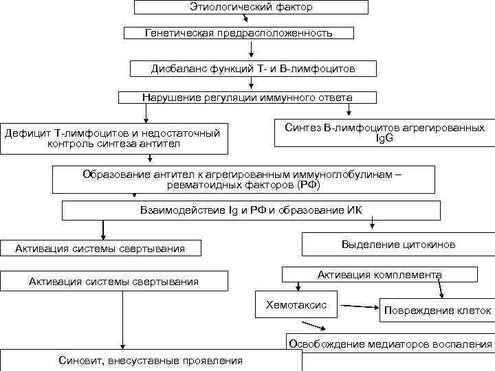 Этиологический фактор Генетическая предрасположенность Дисбаланс функций Т- и В-лимфоцитов Нарушение регуляции иммунного ответа Дефицит