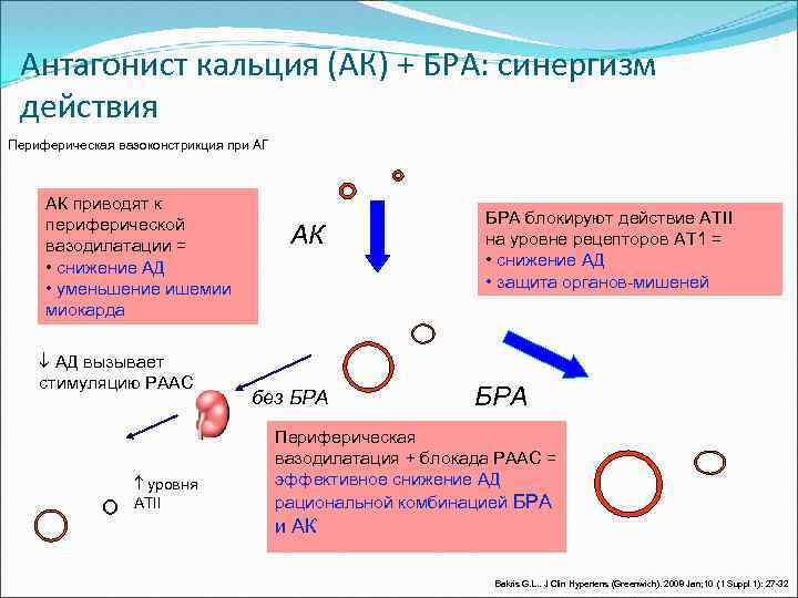 Антагонист кальция (АК) + БРА: синергизм действия Периферическая вазоконстрикция при АГ АК приводят к