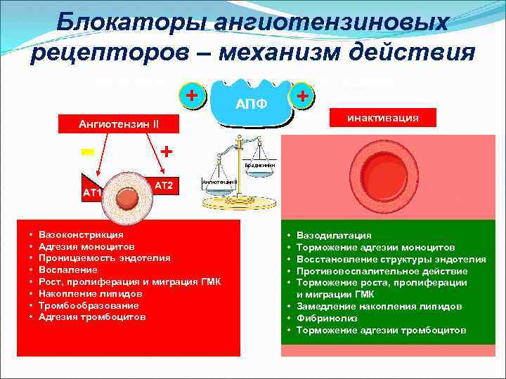 Блокаторы ангиотензиновых рецепторов – механизм действия Ангиотензин I + + АПФ инактивация Ангиотензин II