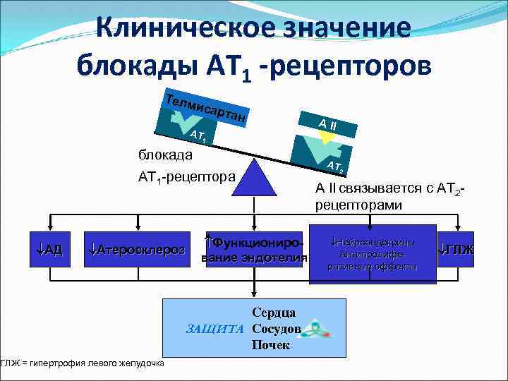 Клиническое значение блокады AT 1 -рецепторов Телм исар тан AT A II 1 блокада