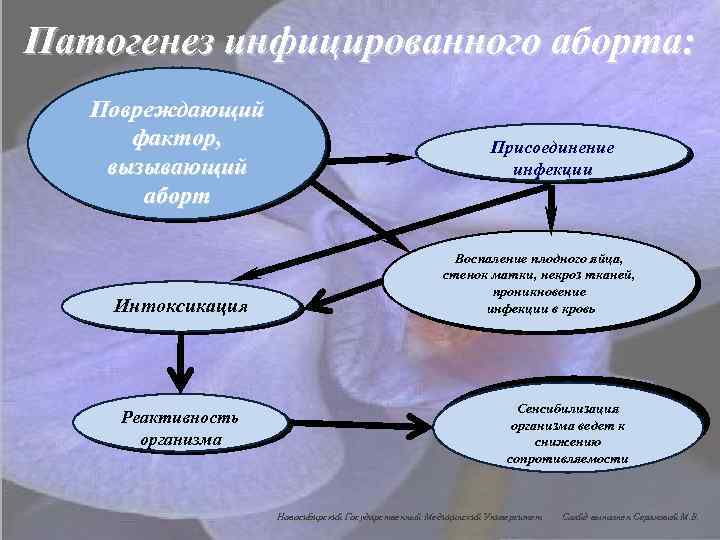 Патогенез инфицированного аборта: Повреждающий фактор, вызывающий аборт Интоксикация Реактивность организма Присоединение инфекции Воспаление плодного