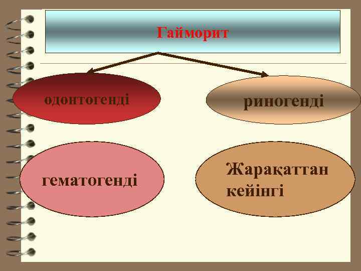 Гайморит одонтогенді гематогенді риногенді Жарақаттан кейінгі 