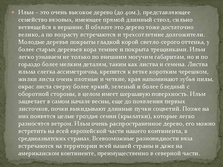  Ильм – это очень высокое дерево (до 40 м. ), представляющее семейство вязовых,