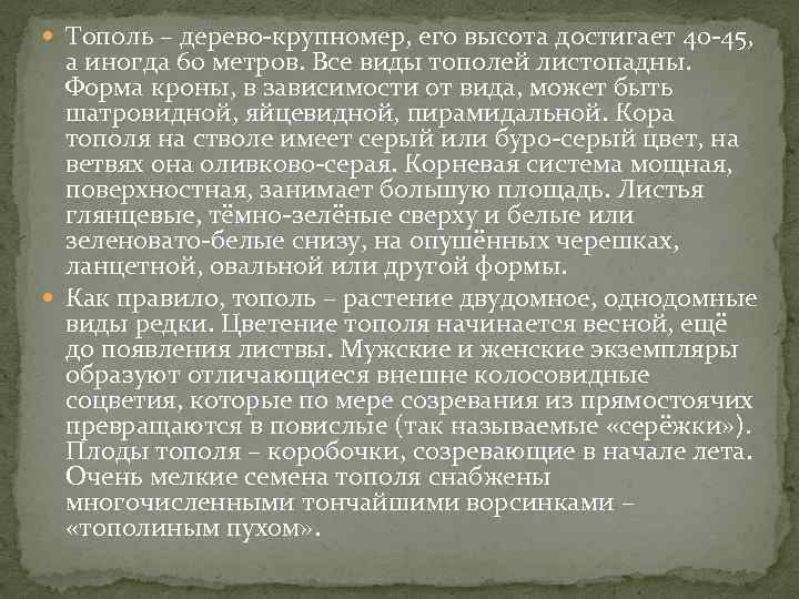  Тополь – дерево-крупномер, его высота достигает 40 -45, а иногда 60 метров. Все