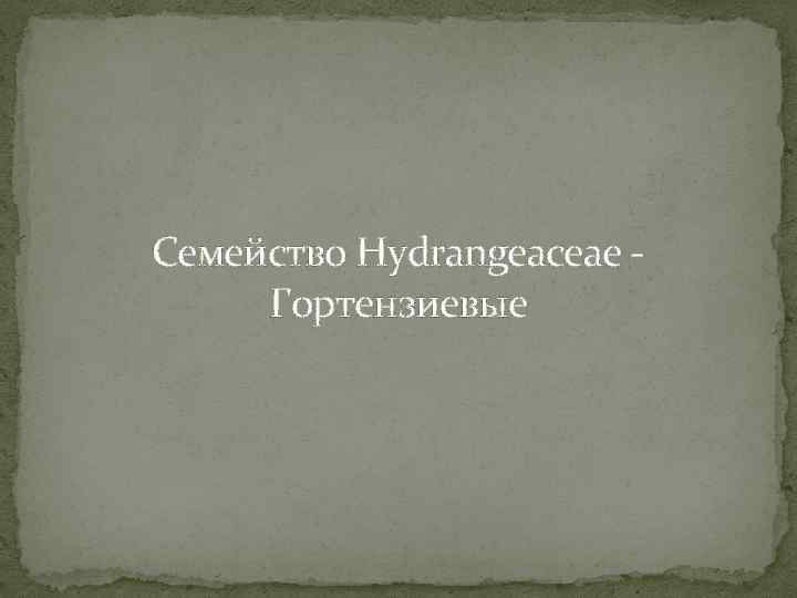 Семейство Hydrangeaceae - Гортензиевые 