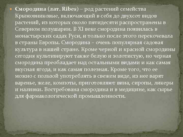  Смородина (лат. Ribes) – род растений семейства Крыжовниковые, включающий в себя до двухсот