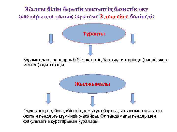 Жалпы білім беретін мектептің базистік оқу жоспарында толық жүктеме 2 деңгейге бөлінеді: Тұрақты Құрамындағы